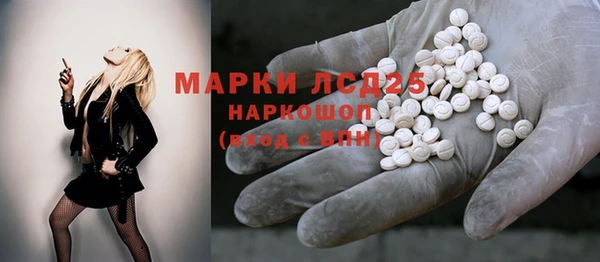 крисы Ростов