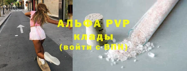 PSILOCYBIN Рославль
