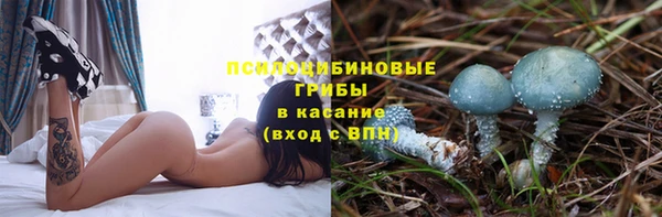 PSILOCYBIN Рославль